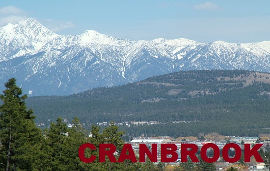 Car Title Loans Cranbrook